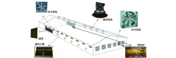 poultry ventilation system